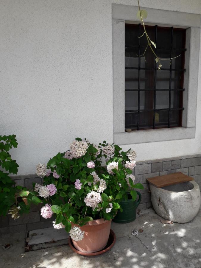 Apartamento Vidin Raj Vremski Britof Exterior foto